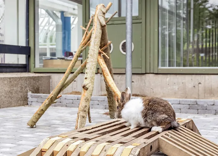 Сasa de vacaciones 6 Person On A In